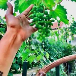 Luxury Minerva Gardens * Сплит