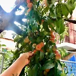 Апартаменты Luxury Minerva Gardens