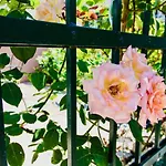 Luxury Minerva Gardens