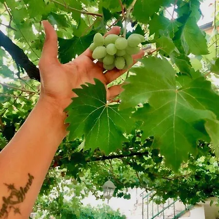 Luxury Minerva Gardens Apartment *