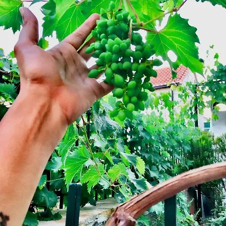 Luxury Minerva Gardens * Split