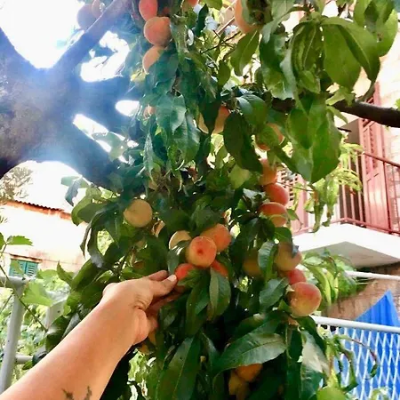 Apartment Luxury Minerva Gardens