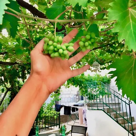 Luxury Minerva Gardens Apartment Split