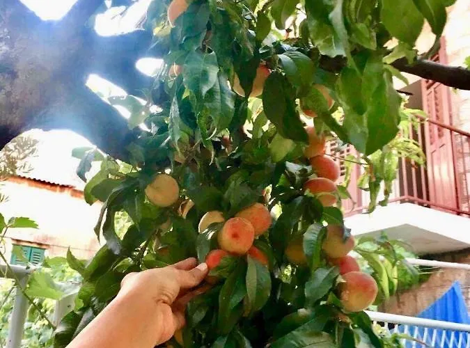 Apartman Luxury Minerva Gardens