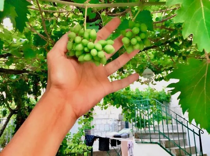 Luxury Minerva Gardens Apartman Split