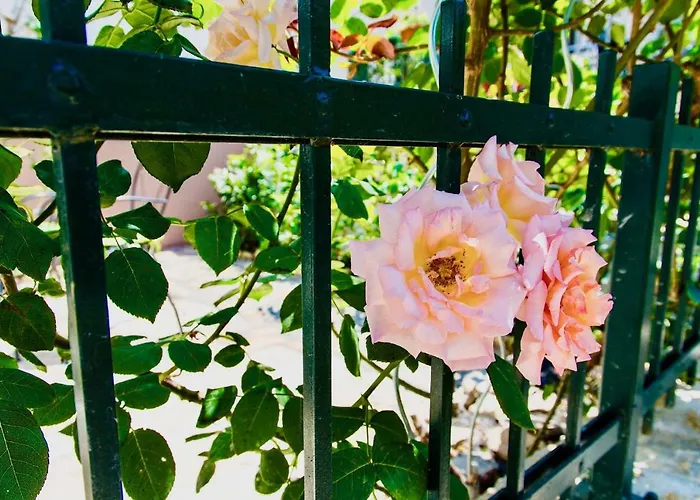 Luxury Minerva Gardens