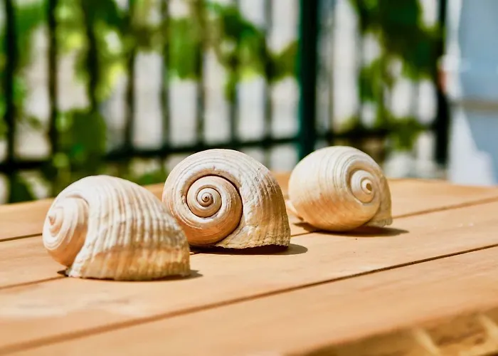 Luxury Minerva Gardens